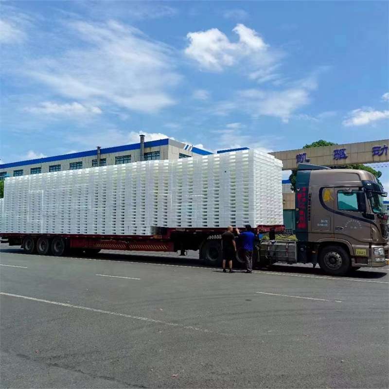 山东聊城莘县到玉林物流公司——一站式服务，让货运更轻松（玉林专线物流）